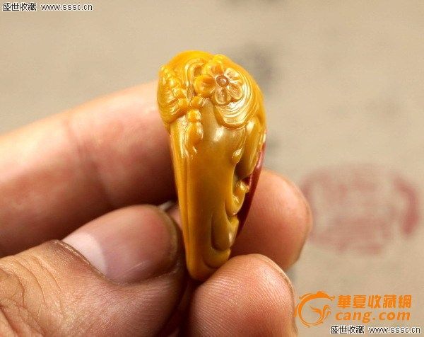 战国红极品阿诗玛美女鸡油黄战国红泳装_v极品美女图片美女a极品图片