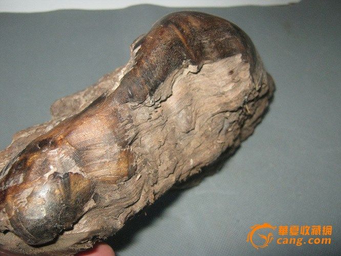 长25宽15厚8厘米,打磨开一定相当漂亮,阴沉金丝楠木直接摆可以,做成品也非常好,挂件,珠子都非常漂亮上档次,满影子的少见。 几千年甚至上万年陈化,硬度大,木质好,油性佳,自古灵物,镇宅招财,文房味道极浓,高品质阴沉木存量不多,下个贵重木头大热点,提前拥有,升值超猛,机会不多,该出手时就出手! 阴沉木资料:古沉木(阴沉木)又称乌龙木、乌木、沉木、炭化木、东方神木等,系古时沉于水土之中的木材。远古时期,原始森林中的大片名贵木材,受地震、山洪、泥石流等重大自然灾害侵袭,成为被深埋于江河、湖泊、海底的枯木残根。