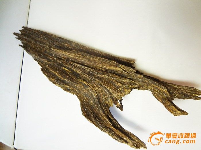 拍品描述:天然沉香原料,印尼加里曼丹地区材料,结油明显,保留纯天然本色,长63厘米,最宽20厘米,最厚13厘米,重615克,若有不清楚的,可联系本人。 【友情提醒】本人从事木雕行业已有二十多年,以自产自销的经营模式,本人专场拍卖凡是有定价起拍均以批发价起拍,远远低于市场价格,欢迎对于沉香爱好藏家和经销商一起交流学习。海峡艺品郑重承诺:保质保量,绝对不拍售假货.