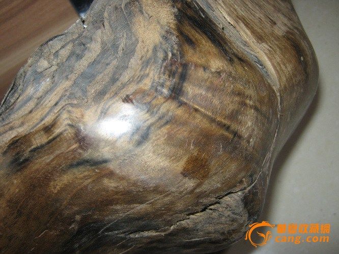 重4350克,长50宽20厚12厘米,密度大,香味沁人心脾,用处大,做牌子,珠子,雕件都可以,赈灾辟邪,热捧木种。 阴沉木资料:古沉木(阴沉木)又称乌龙木、乌木、沉木、炭化木、东方神木等,系古时沉于水土之中的木材。远古时期,原始森林中的大片名贵木材,受地震、山洪、泥石流等重大自然灾害侵袭,成为被深埋于江河、湖泊、海底的枯木残根。随着时间的流逝,这些枯木残根在水底泥沙中浸泡和磨压,改变了原来的物理性能:木质内在的脂肪、糖类等都在水中溶解得干干净净,清除了蛀虫、细菌的生存空间。有的被水底的泥沙腐蚀得丝丝缕缕,