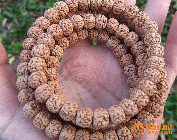 一串在手,别无他求,粉黄皮二代盘龙纹门墩纹爆