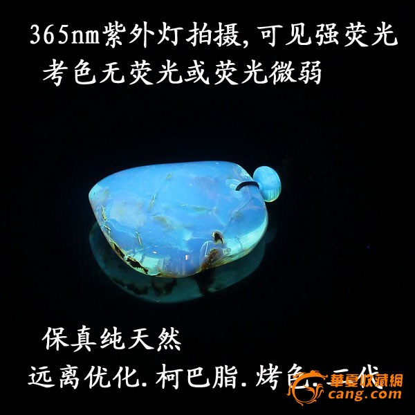 正宗多米尼加蓝珀.琥珀之王.挂件