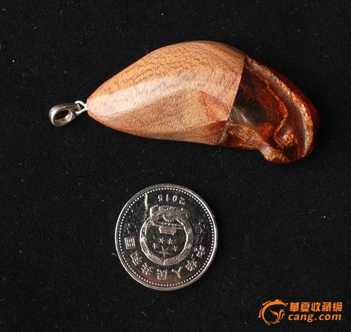 此物稀有_天然波罗的海**琥珀**镶嵌**木化石__吊坠图3