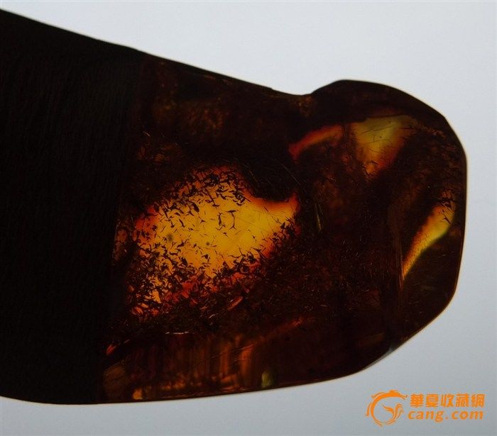 此物稀有_天然波罗的海**琥珀**镶嵌**木化石__吊坠图10